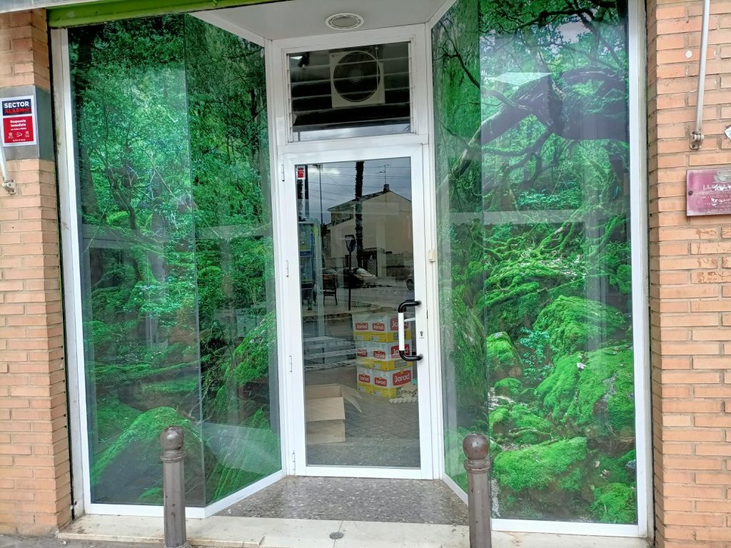 Vinilos decorativos personalizados para escaparates en Manises